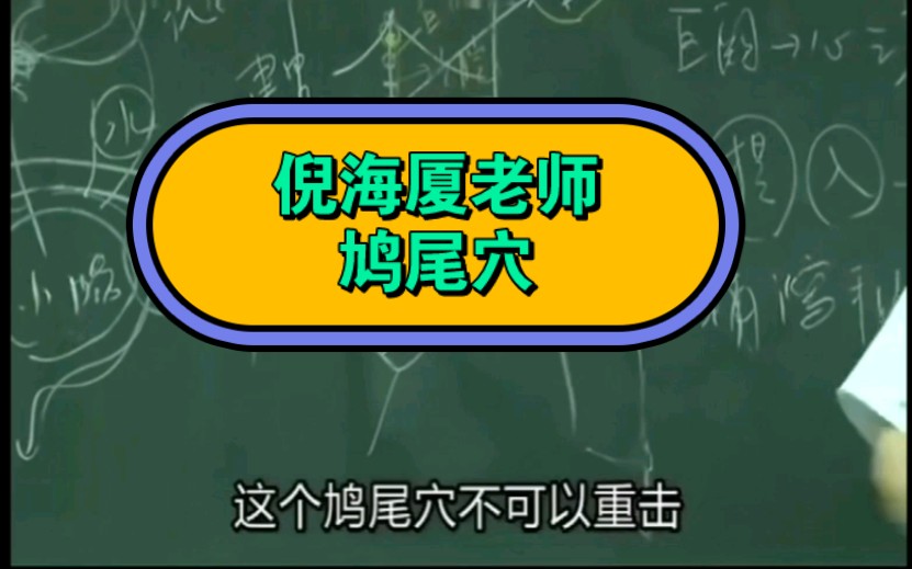 鸠尾薛图片