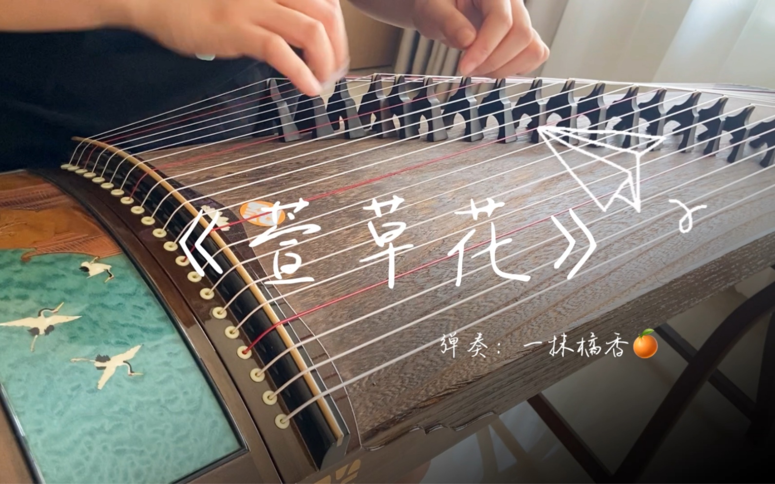 【古筝·萱草花】我们奔赴下一场山海!愿前程似锦!