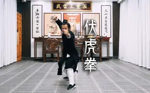 Télécharger la video: 伏虎拳