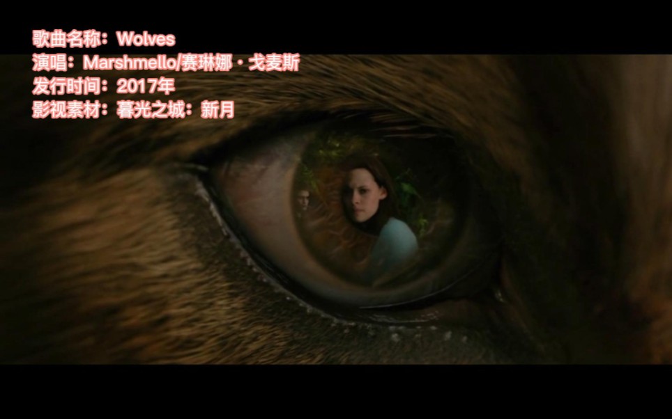 [图]傻脸最为抒情的一首歌曲《wolves》‖ 与狼共舞只为追寻你～