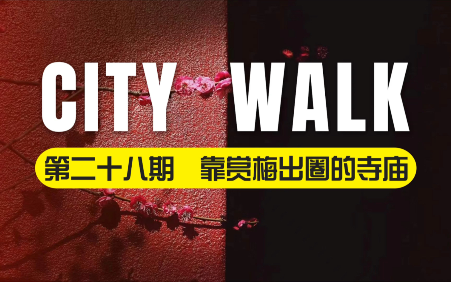 City Walk 第二十八期 | 福州林阳寺:靠赏梅出圈的千年古刹哔哩哔哩bilibili