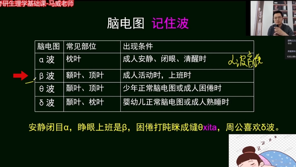 医学考研必看生理重难点精讲:脑电波的种类——复旦马威老师生理学