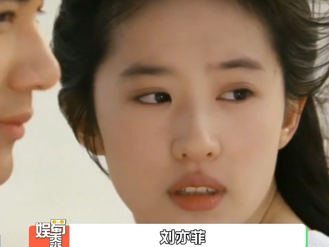 王力宏刘亦菲