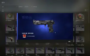 下载视频: CSGO炼金配方分享:4+6追梦最白鸟狙|迂回路线，50%出货。