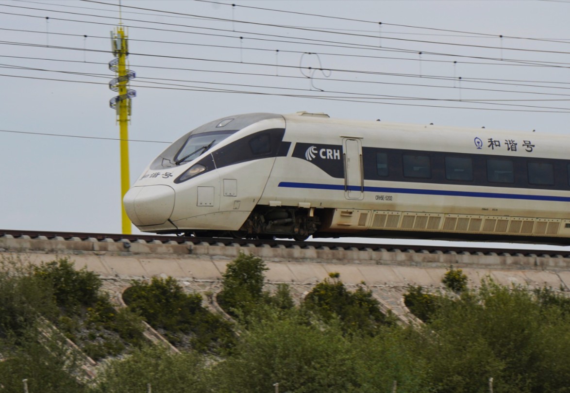 【日常拍车】稀有熊猫卧铺动车组达速通过