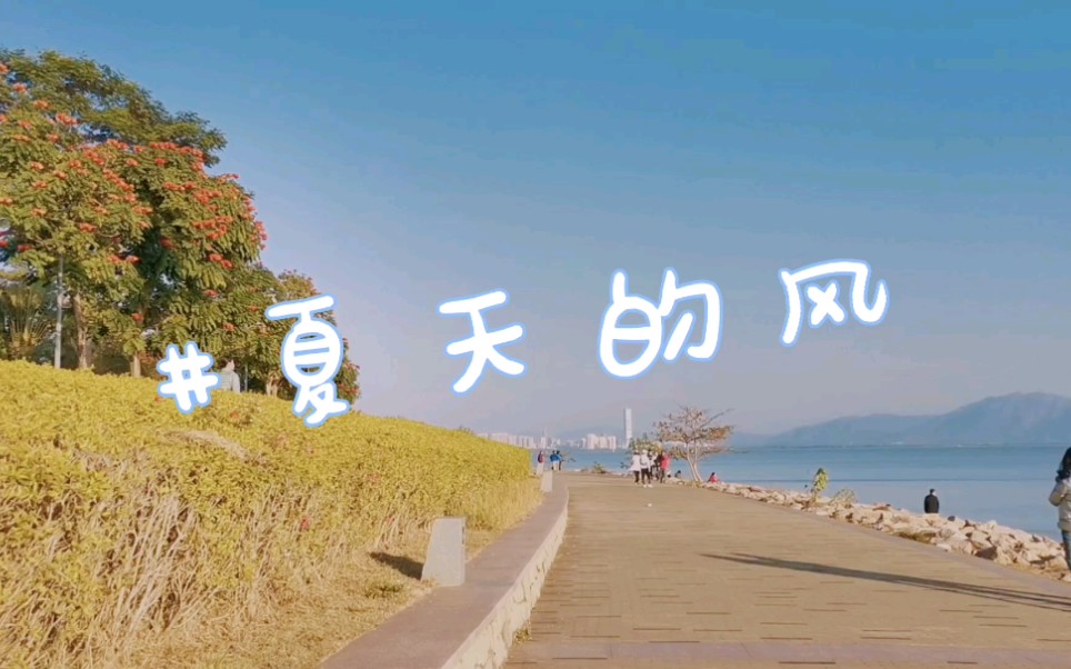 夏日清新音乐mix|《夏天的风》& nineone《风的颜色》