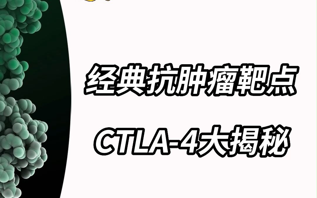 经典抗肿瘤靶点CTLA4大揭秘哔哩哔哩bilibili