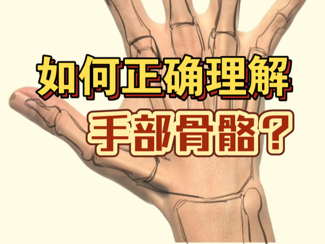 如何正确理解手部骨骼结构?绘制时该如何表现?哔哩哔哩bilibili