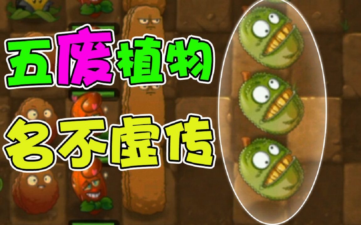 植物大战僵尸:pvz的五废植物"菠萝蜜"!在pvp里同样很废!