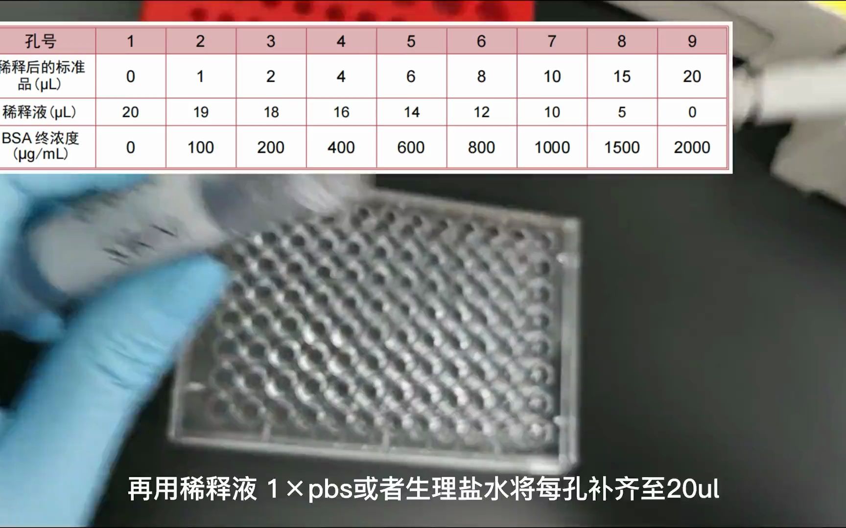 即用型BCA蛋白定量试剂盒操作方法WB实验蛋白垂直电泳 雅酶 样品进行均一化处理 蛋白总上样量一致化 Western Blot蛋白质定量的方法 标准曲线哔哩哔...