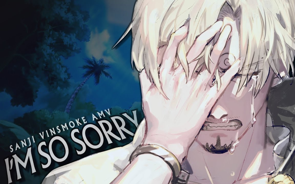 [图]【海贼王】I'M SO SORRY