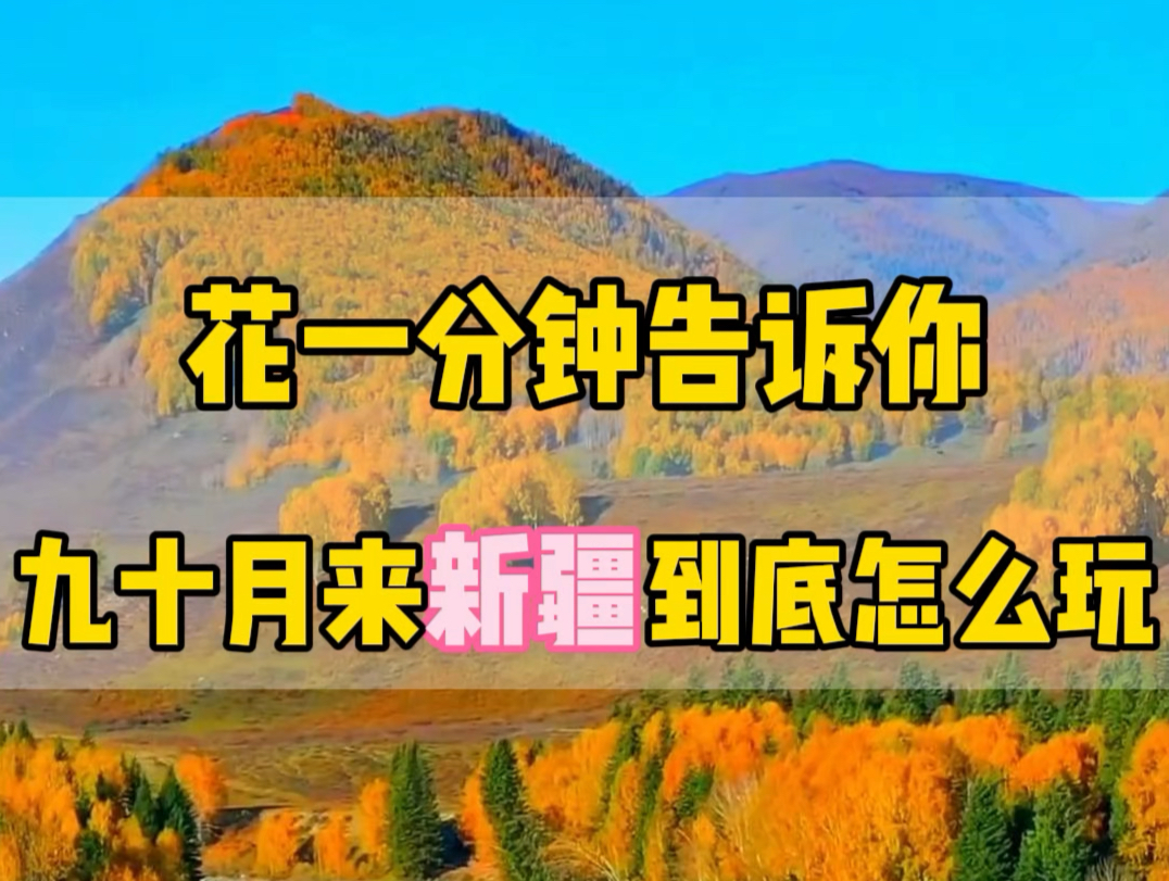 如果您正准备9月下旬10月份来新疆旅游,不要再刷那些复杂的攻略了.也没什么用,废话一大堆.接下来用一分钟的时间和您讲清楚.哔哩哔哩bilibili