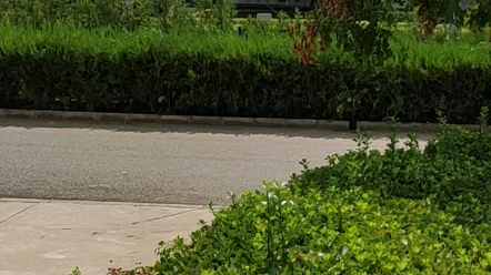 北京地铁六号线,五里桥车辆段内,大黄蜂出段