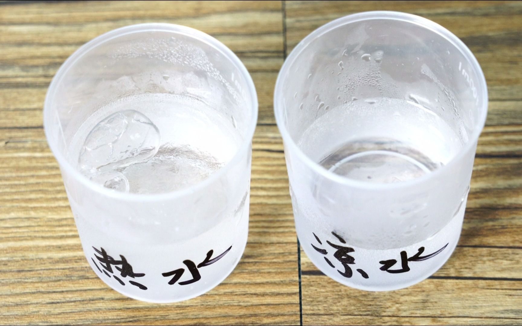 魔力科学小实验,热水和冷水同时放冰箱,谁先结冰?结局有点意思