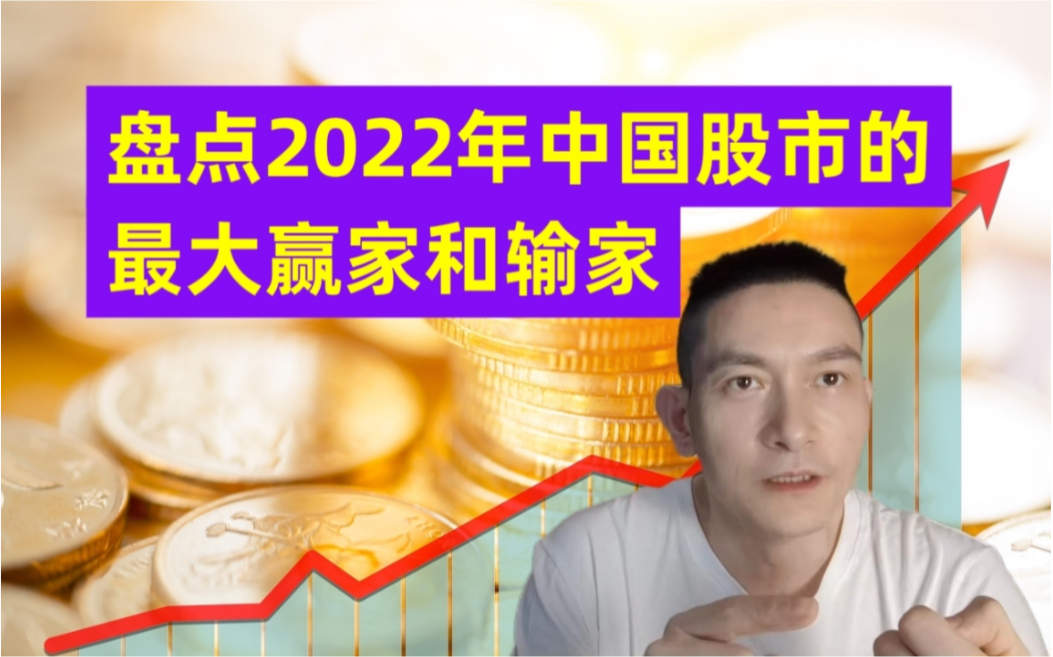 盘点2022年中国股市的最大赢家和输家哔哩哔哩bilibili