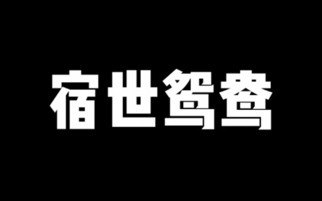 宿世鸳鸯哔哩哔哩bilibili