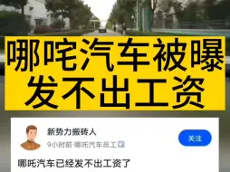 Download Video: 哪吒汽车被自己员工爆料发不出工资。周鸿祎曾指出:营销到产品规划老是自嗨，这是不行的。