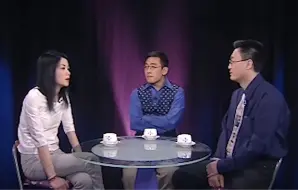 Descargar video: 王菲：报纸上的人我和真正的我完全是两回事