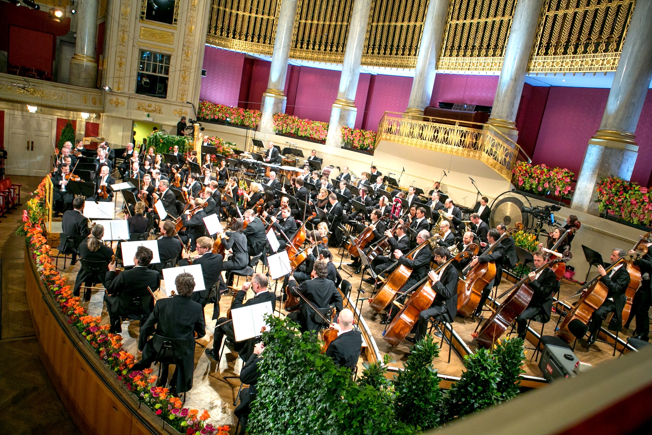 维也纳交响乐队图片