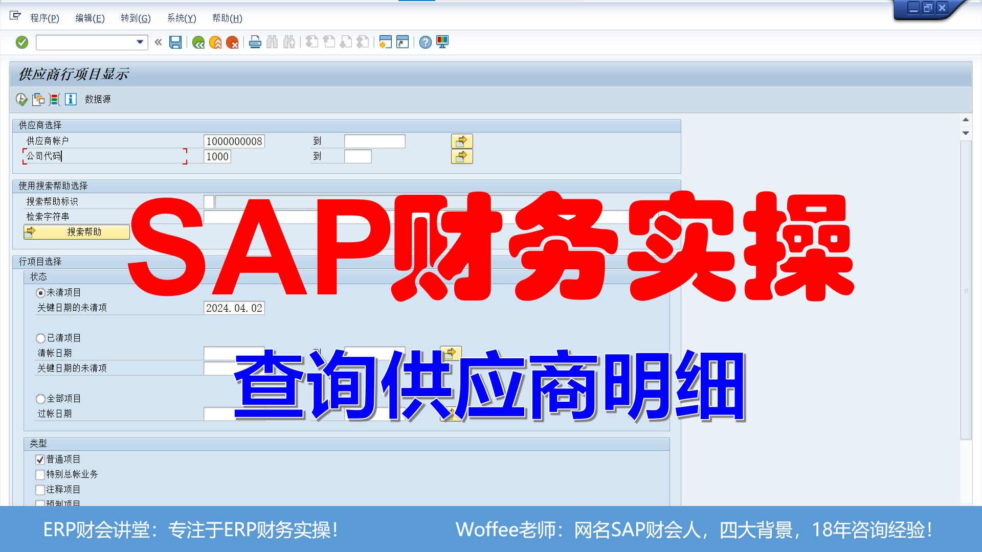 SAP财务实操《查询供应商明细》@SAP快速入门哔哩哔哩bilibili