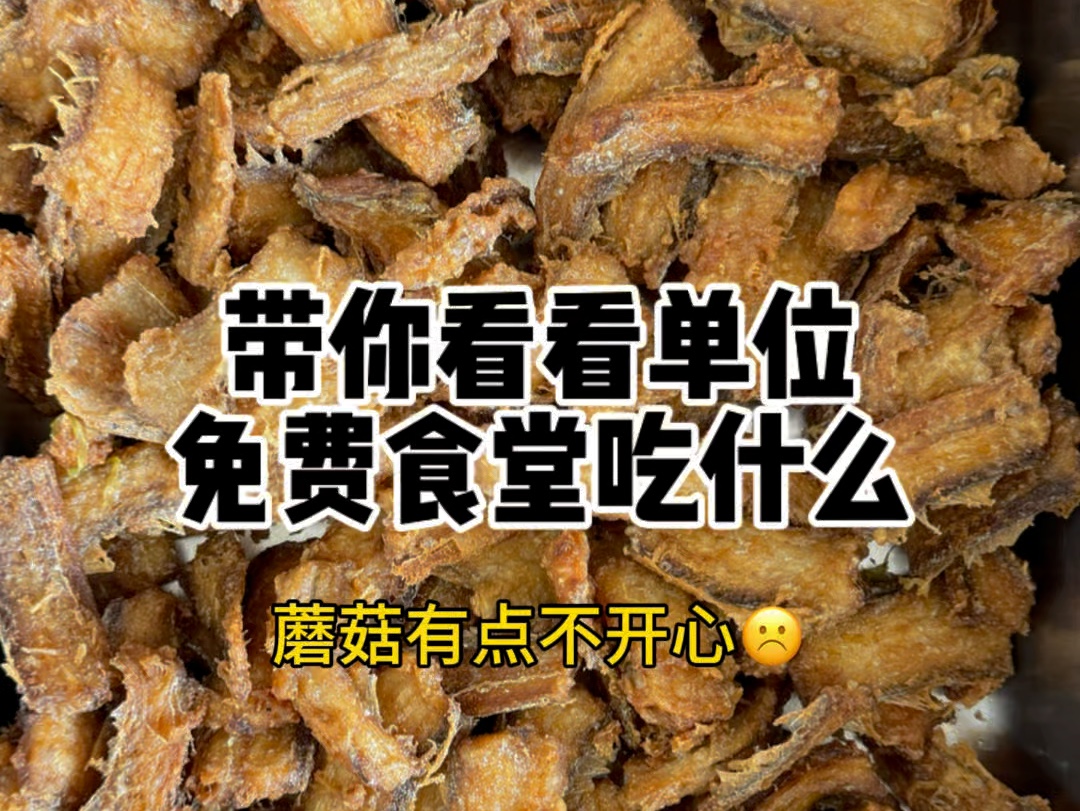 算了算了,干饭使我开心哔哩哔哩bilibili