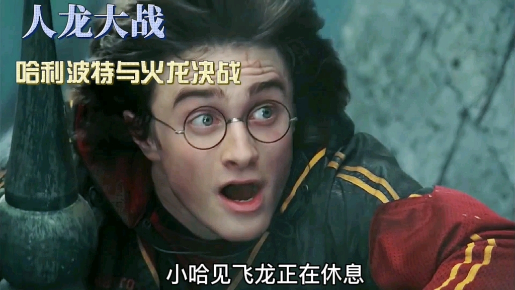 人龙大战哈利波特决战火龙最后智商决定胜负
