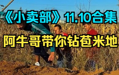 [图]《小卖部》11.10 阿牛哥带你钻苞米地（阿牛小卖部 溜冰小卖部 冰糖小卖部）