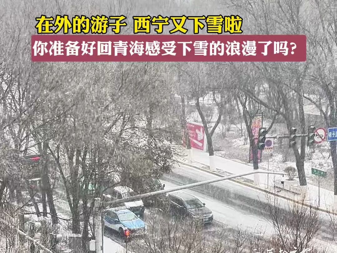 在外的游子 西宁又下雪啦 你准备好回青海感受下雪的浪漫了吗?哔哩哔哩bilibili