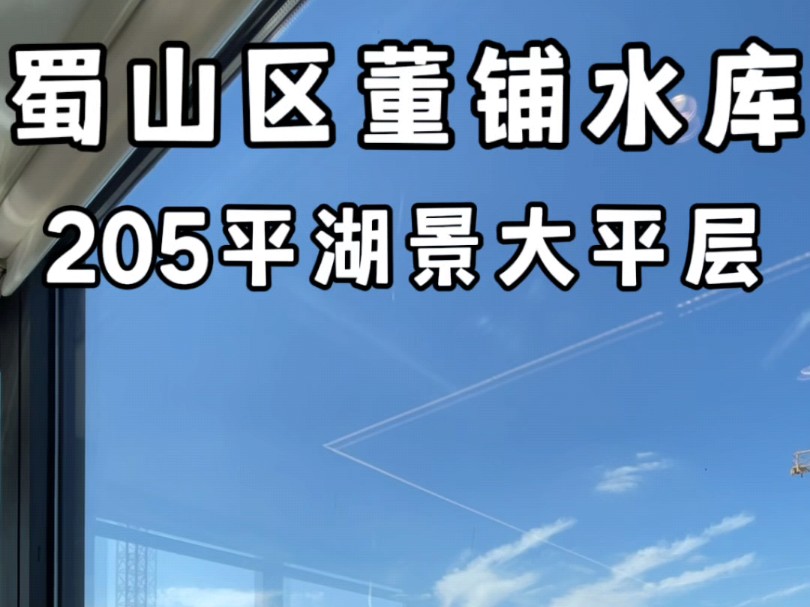 蜀山区董铺水库205平湖景大平层哔哩哔哩bilibili