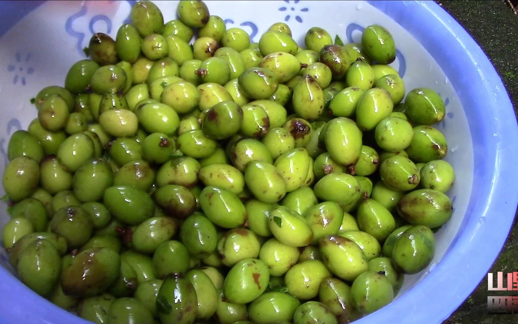 山野四哥农村这样的橄榄没人要的经过小伙泡制后价值可以翻10倍