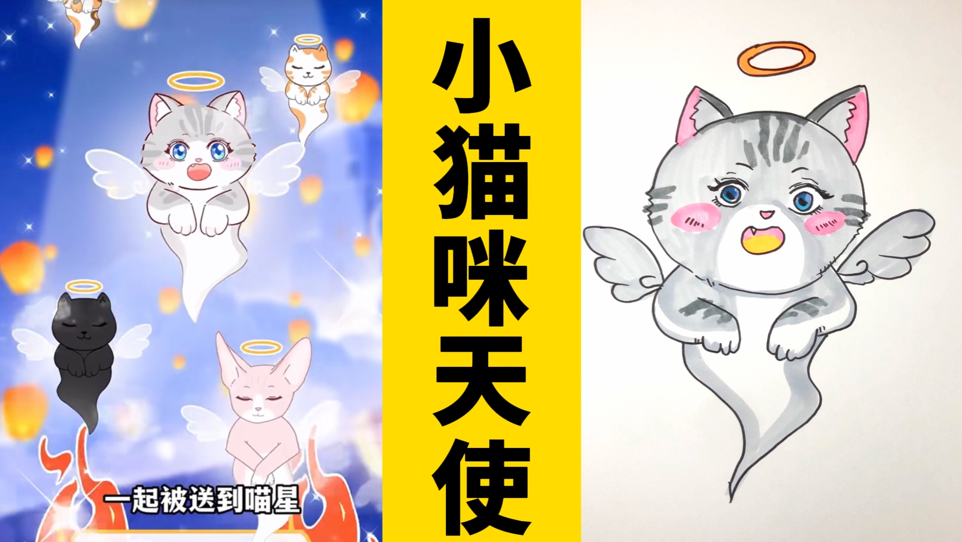 小猫咪去喵星球了