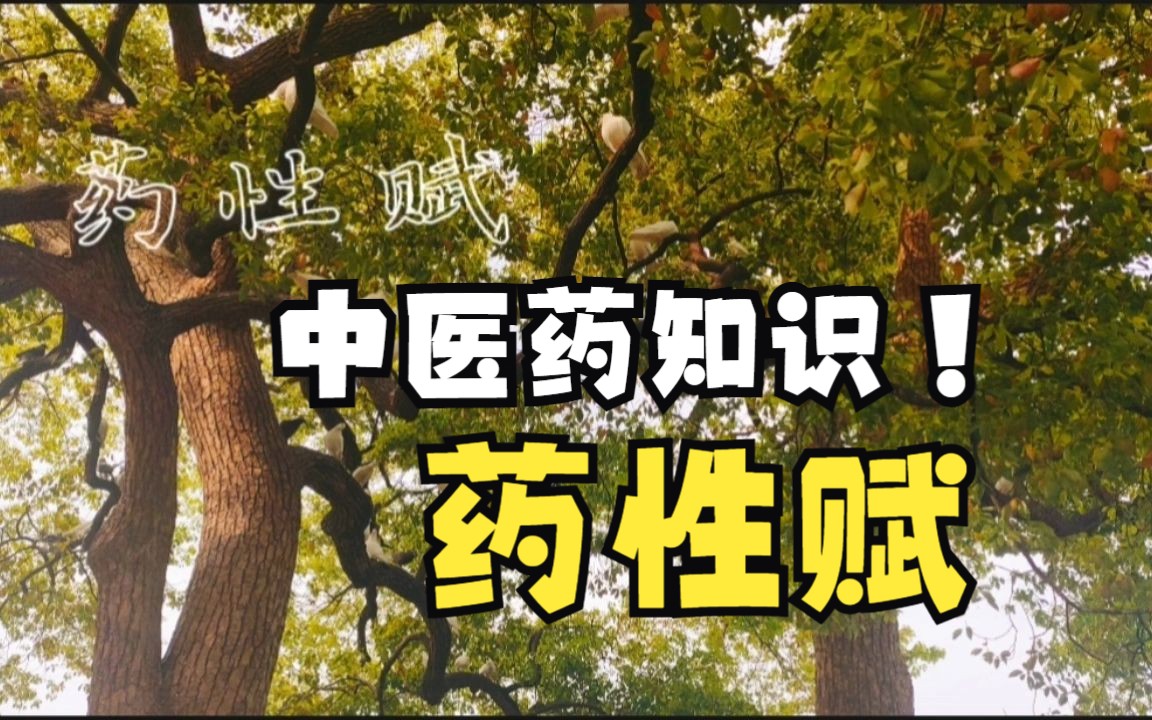 [图]【中医药剧本杀】通过《药性赋》理解中医思维 | 热性篇