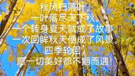 [图]秋风扫落叶，一叶落尽天下秋。一个转身夏天就成了故事，一次回眸秋天便成了风景。四季轮回，愿一切美好都不期而遇！