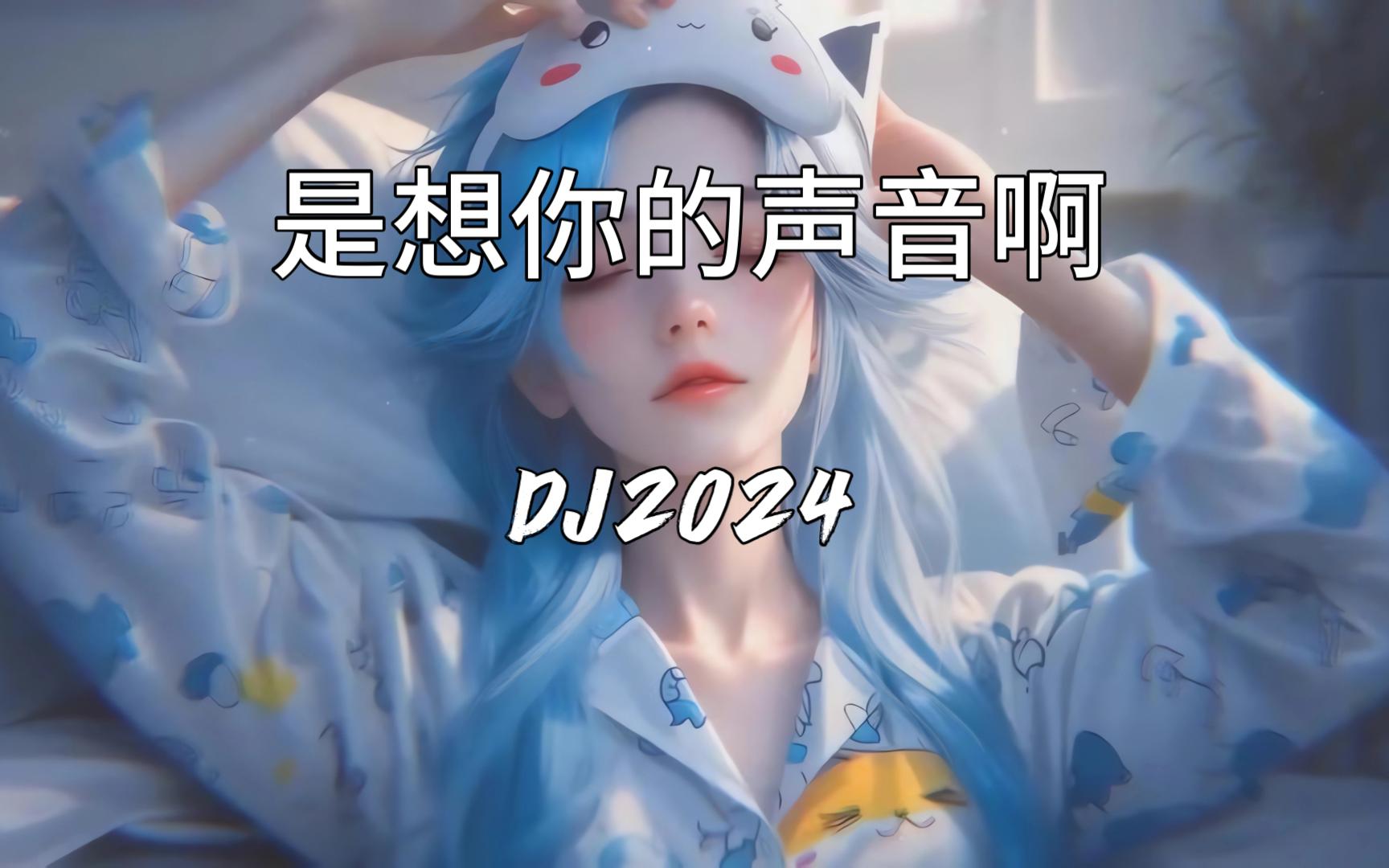 [图]《是想你的声音啊DJ2024》| 高速必备DJ神曲