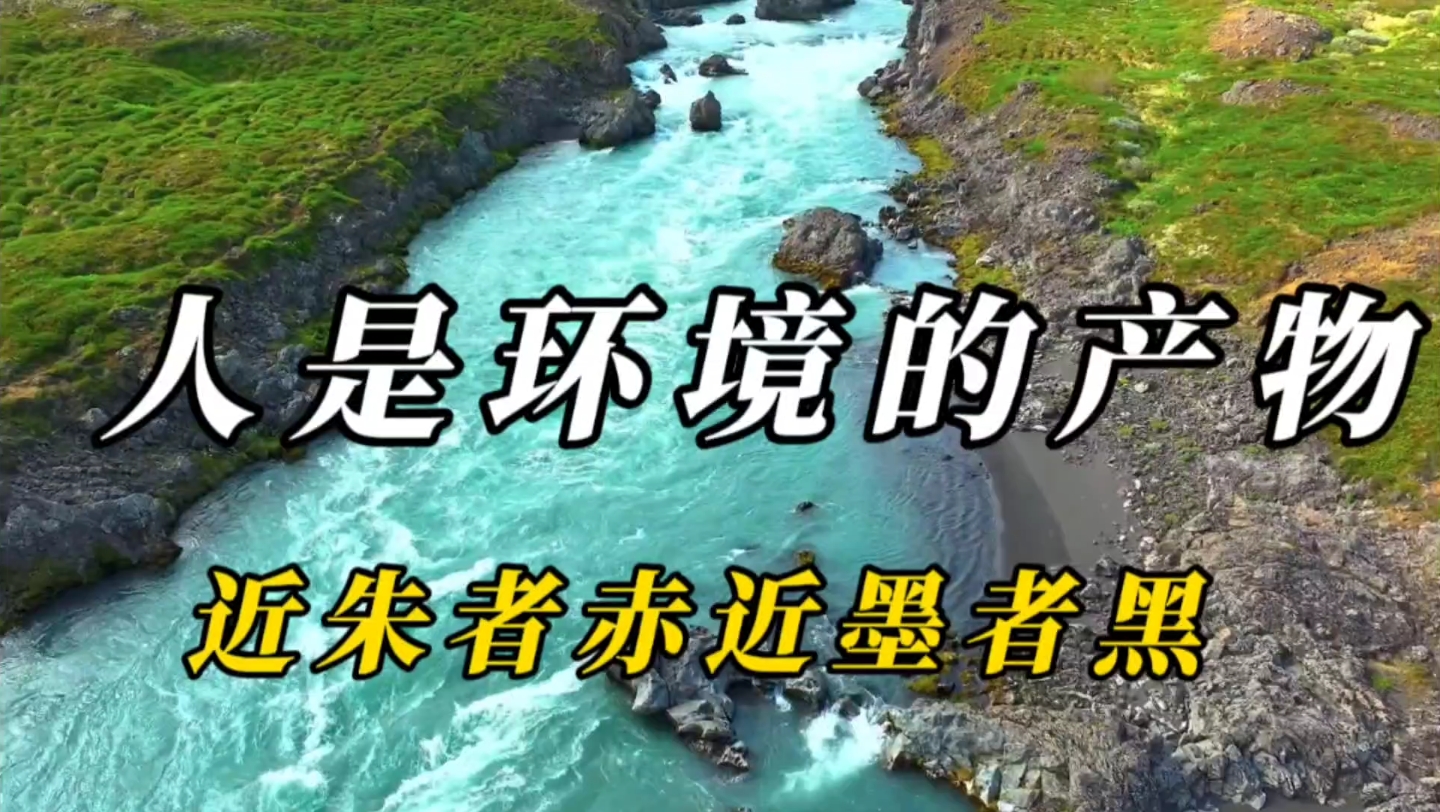 [图]鸟伴鸾凤飞腾远，人伴贤良品自高，你接近谁就会成为谁。