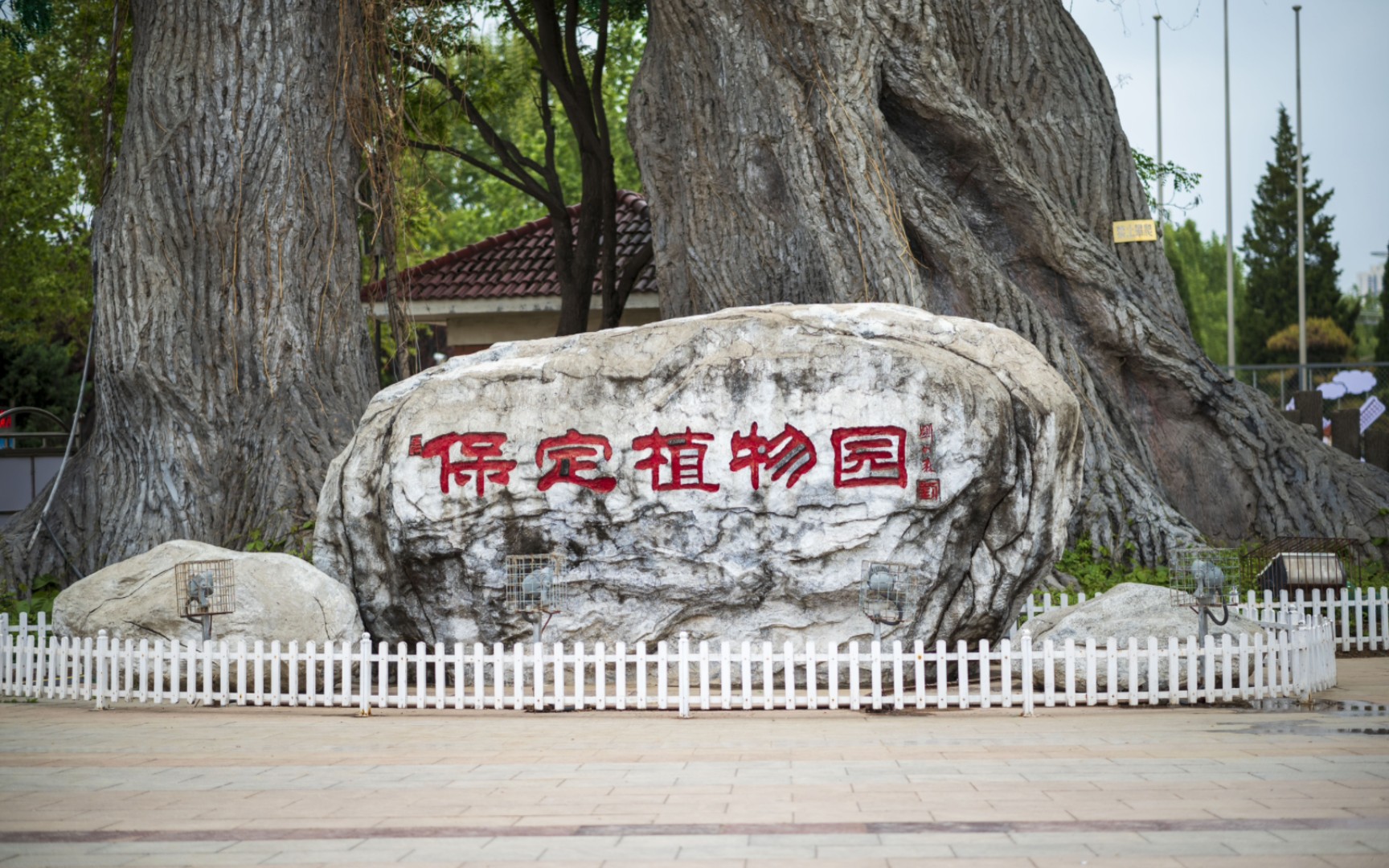 保定市植物园门票图片