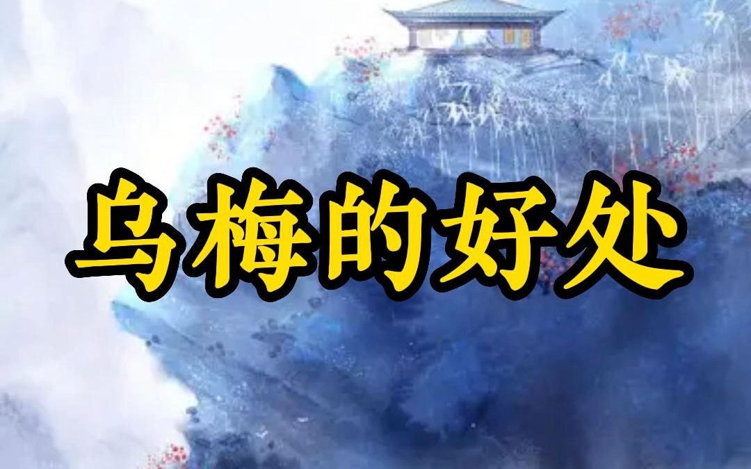 乌梅的好处——四季养生堂哔哩哔哩bilibili