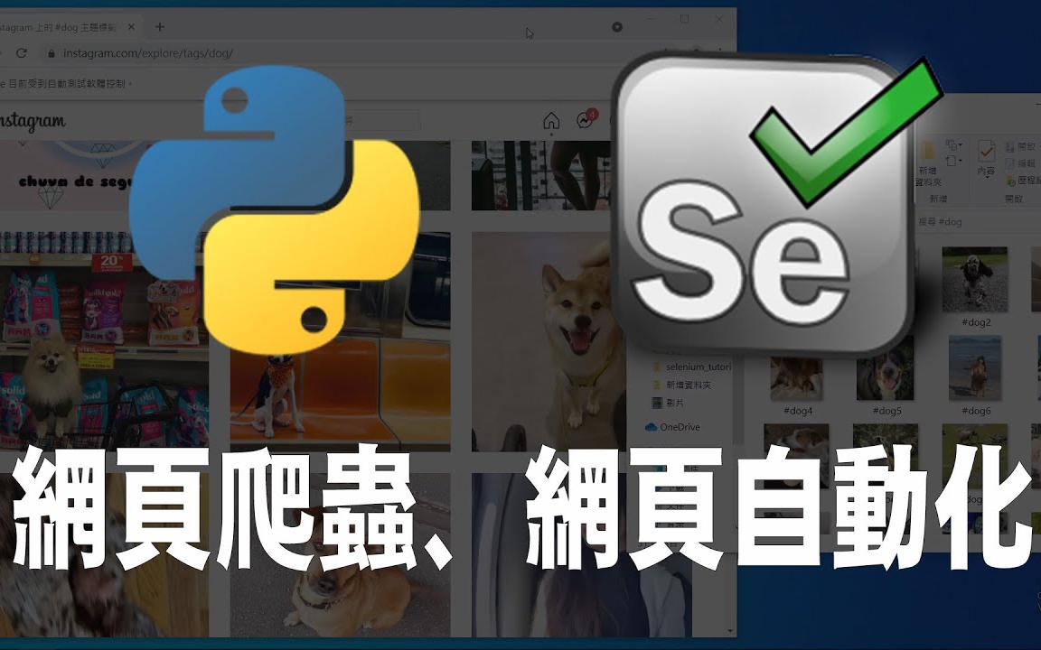 [图]【python】selenium 网页自动化、网路爬虫:《Python网页爬虫从入门到放弃!2021新编》