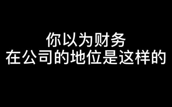 这是你们公司的财务吗?哔哩哔哩bilibili