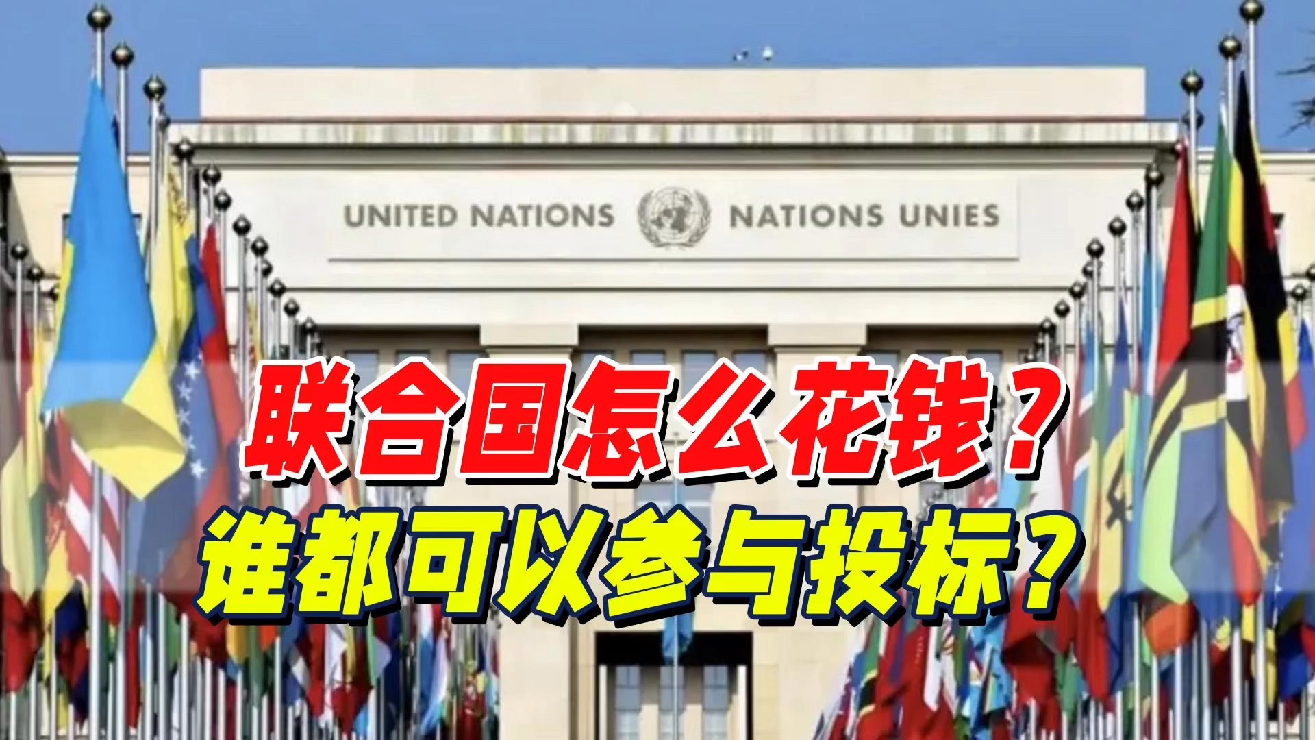 联合国怎么搞采购?中国企业有多少份额?探店联合国采购大会哔哩哔哩bilibili