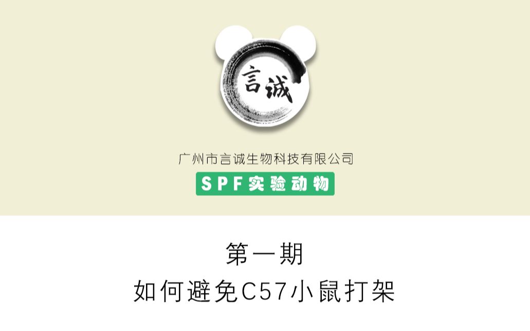 #小课堂# 第一期:如何避免C57小鼠打架哔哩哔哩bilibili