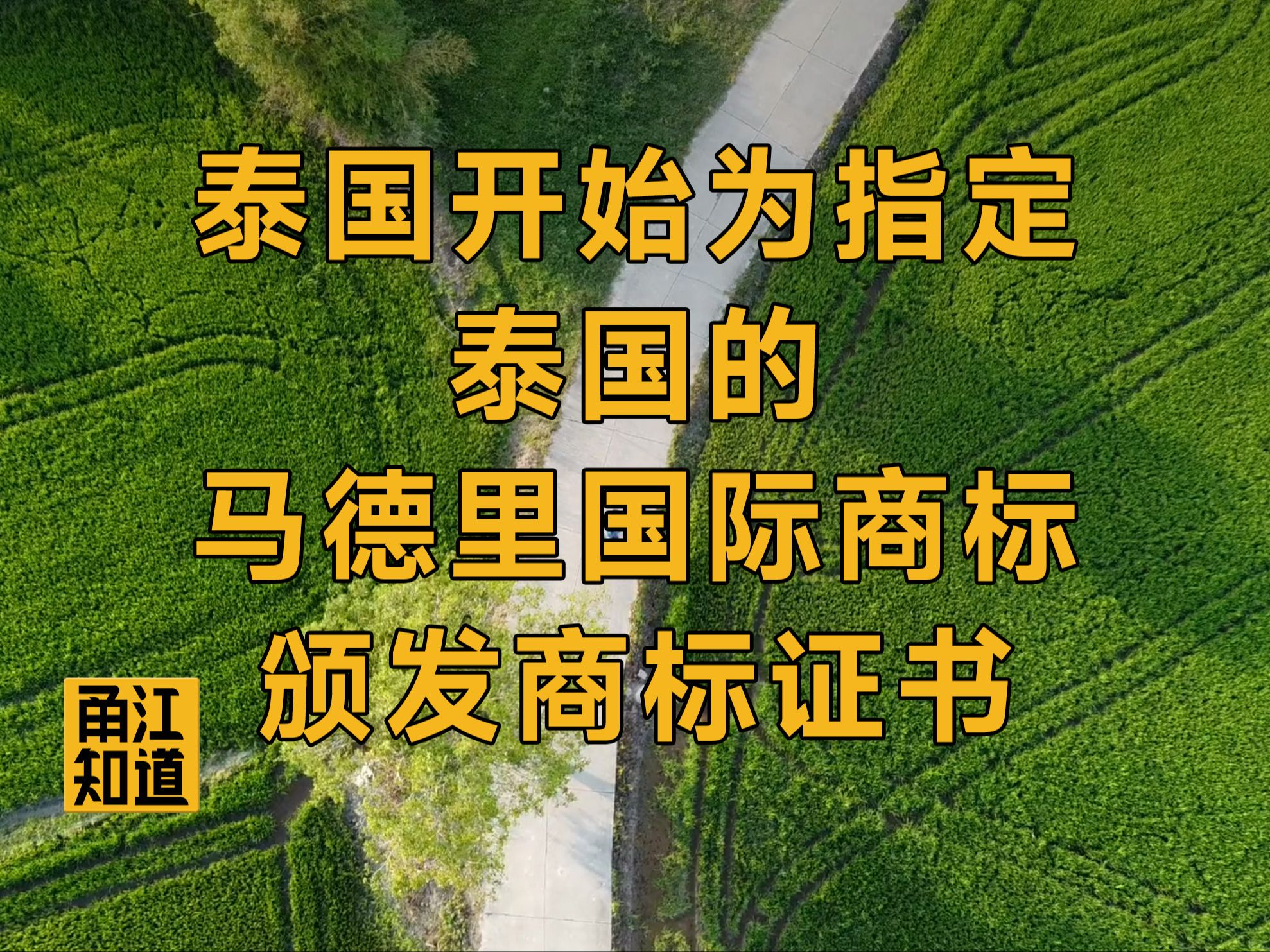 【国际 | 泰国】泰国开始为指定泰国的马德里国际商标颁发商标证书哔哩哔哩bilibili