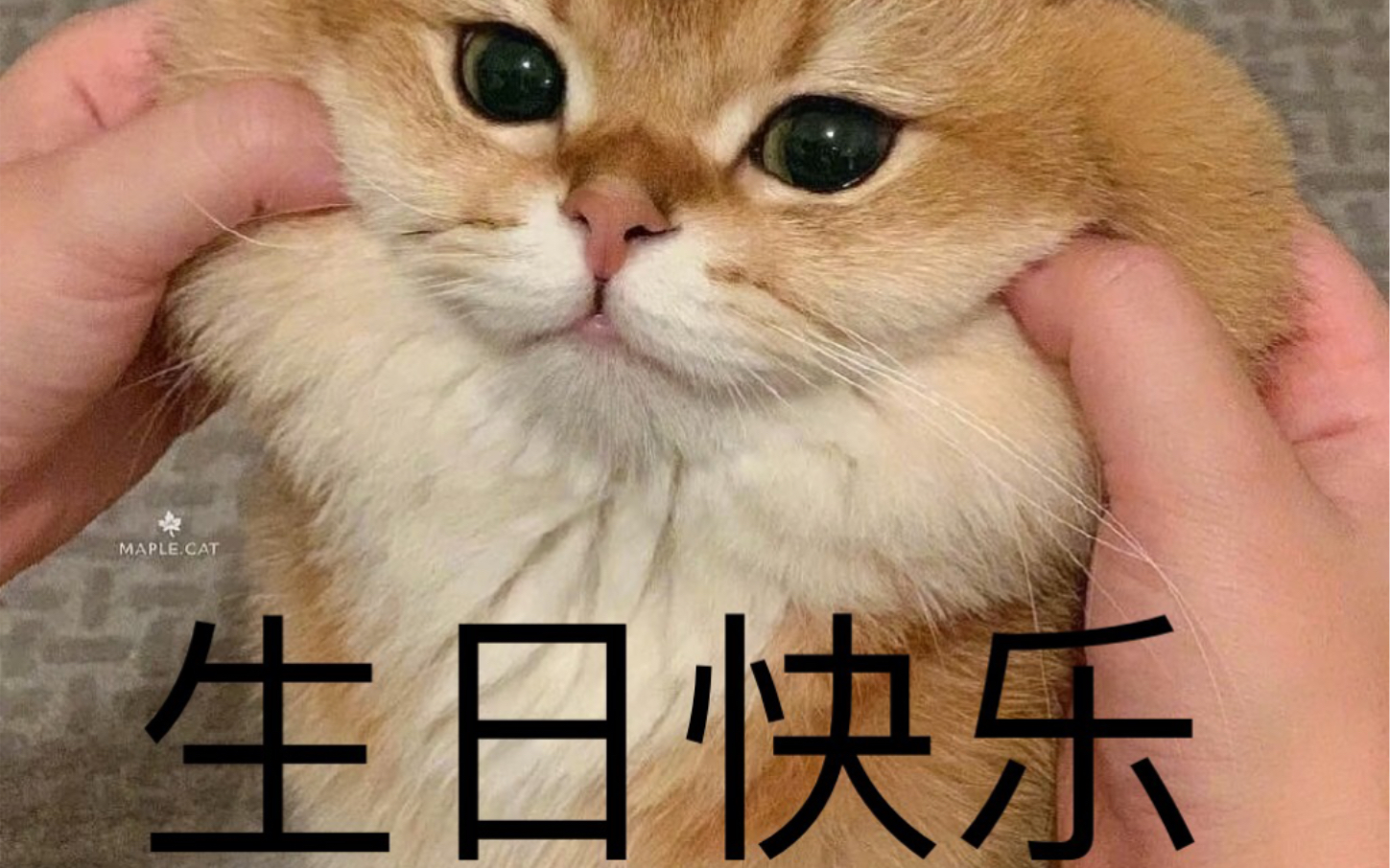 【自我留念】当我学会了用某音特效给朋友拍生日祝福(危)