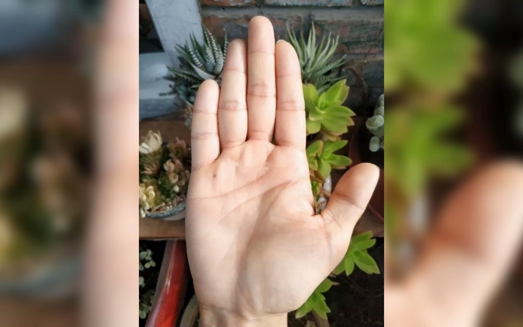 手相如何算生肖虎年运势(从手相如何看哪年生孩子)