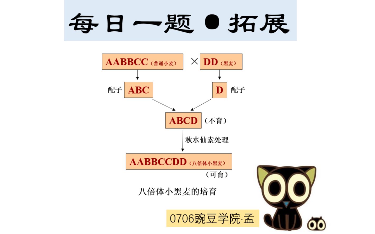 【高中生物 每日一题】0706.5 拓展篇 | 八倍体小黑麦育种原理哔哩哔哩bilibili