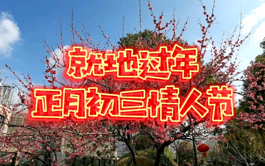 就地过年正月初三情人节