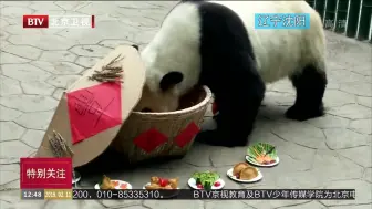 Descargar video: 【浦发清华】吃美食收礼物 4只大熊猫的中国年