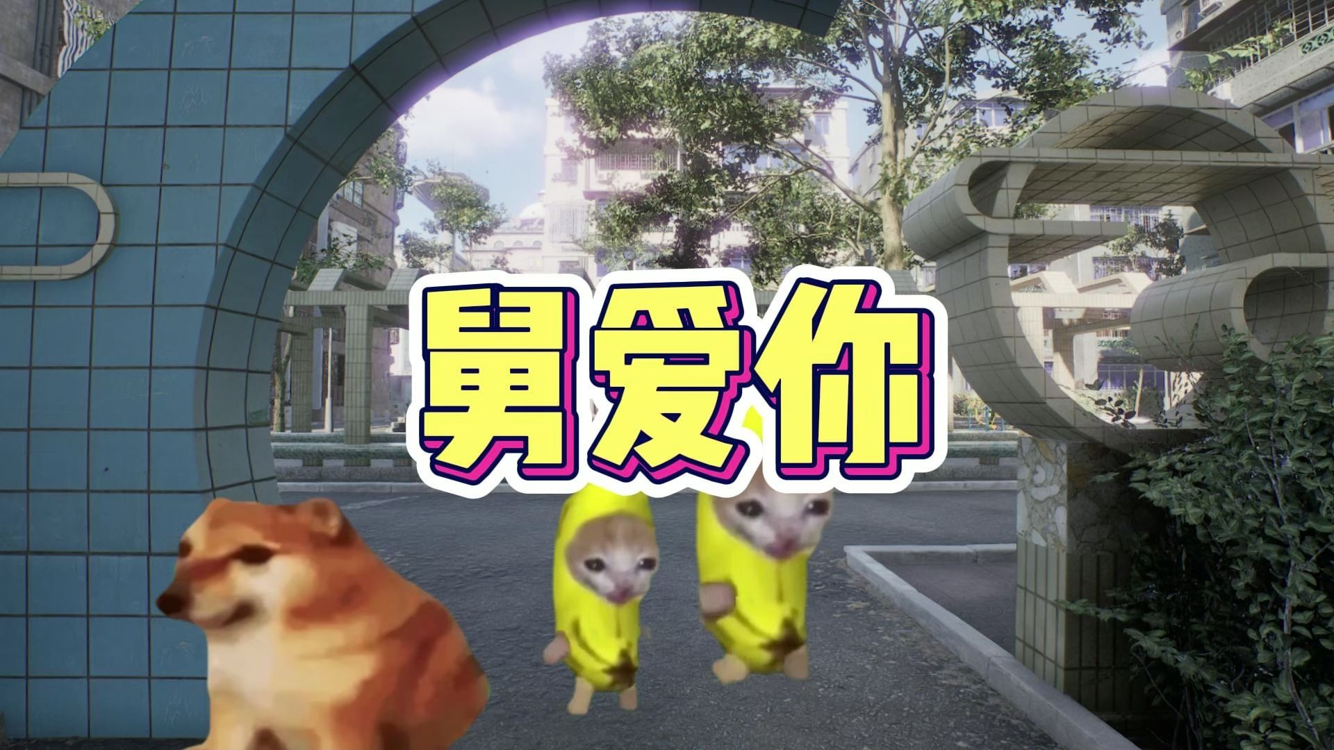 香蕉猫找爸爸-白薯的猫meme-白薯的猫meme-哔哩哔哩视频