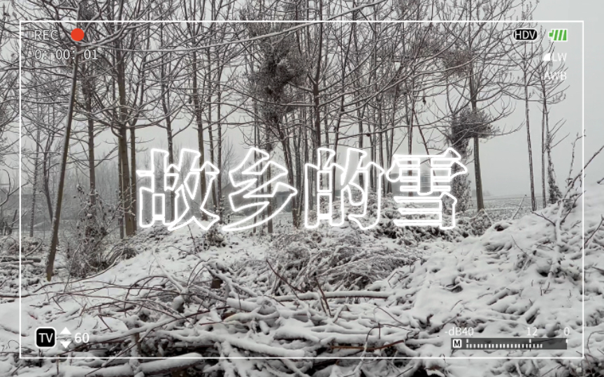 故乡的雪,一如往昔.哔哩哔哩bilibili