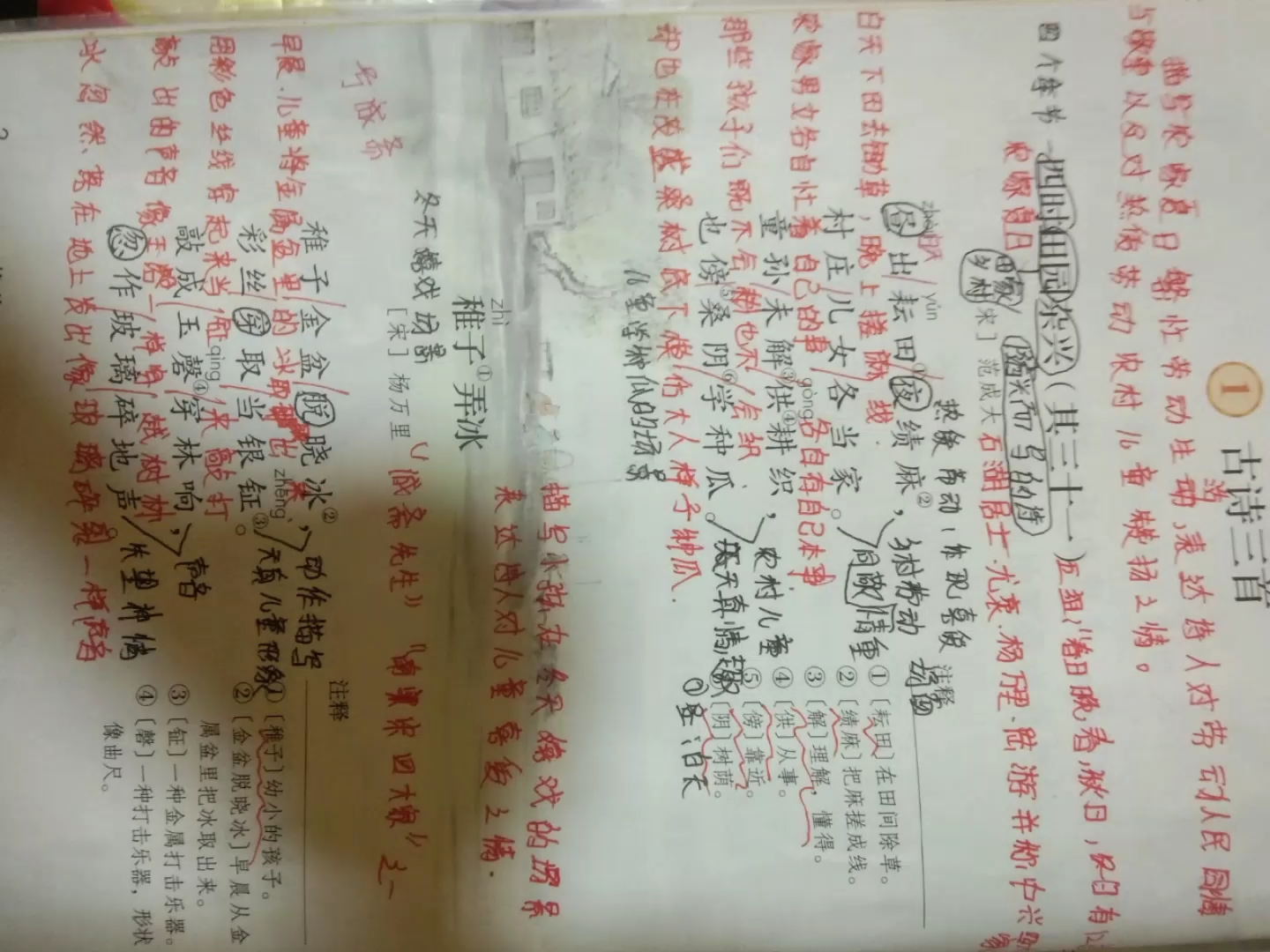 五年级下册第一课笔记